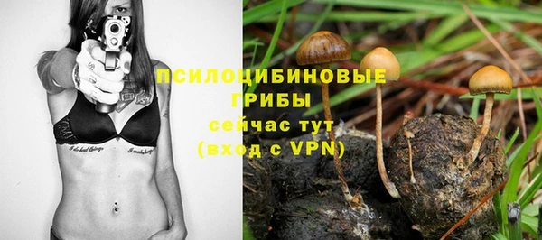 дмт Алексин